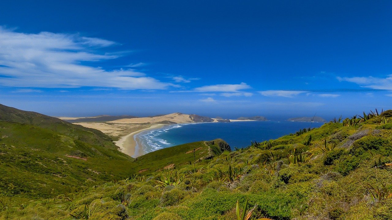 Waiheke Island beach with golden sand and turquoise water