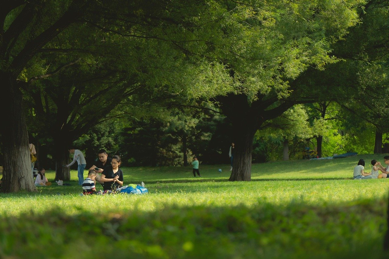 family picnic park outdoor recreation grass nature