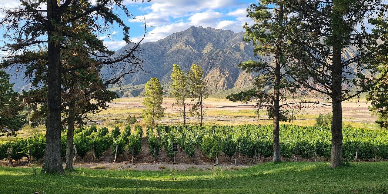 Bodegas Salentein winery in the Uco Valley Mendoza Argentina