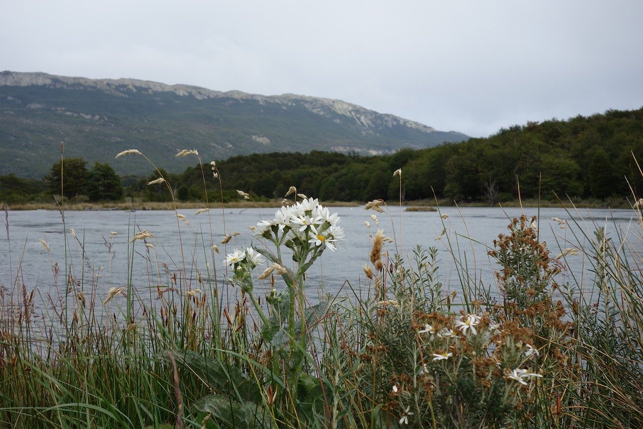Tierra del Fuego Patagonia fjord mountain landscape