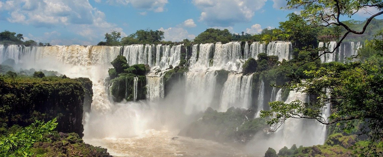 Tropical rainforest surrounding Iguazu Falls