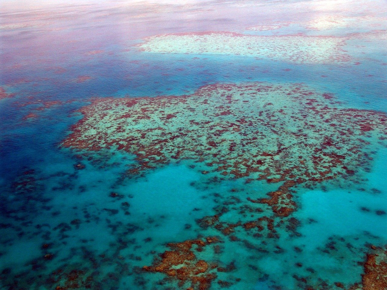 Great Barrier Reef snorkeling aerial view Queensland
