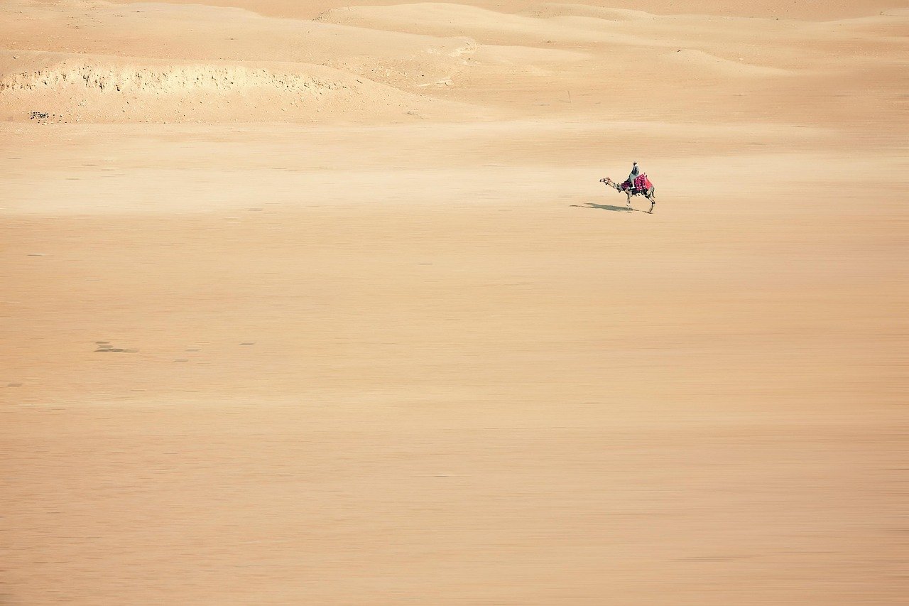 Desert rock formations and fossil landscape in Wadi Al-Hitan