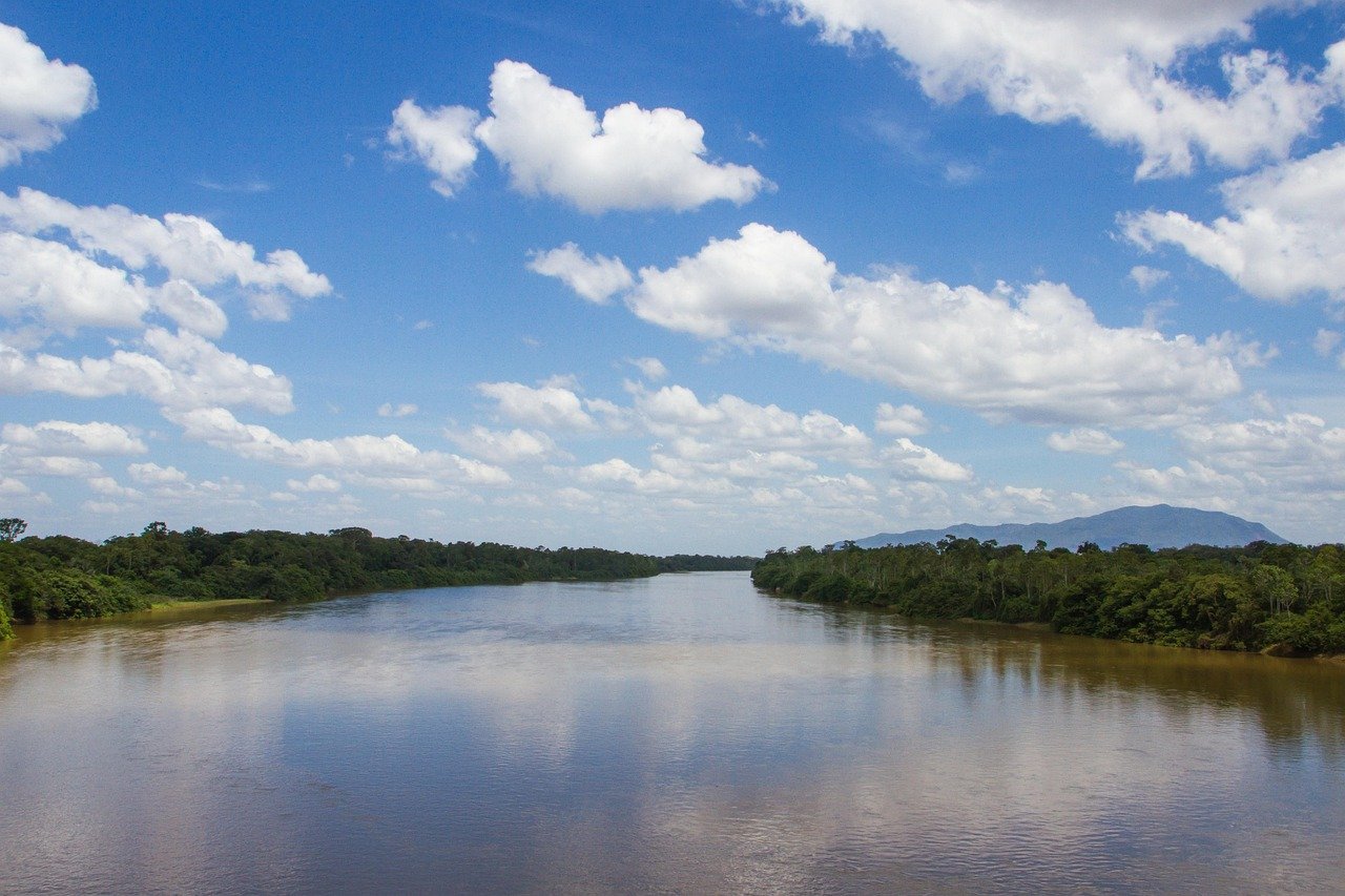 Amazon river Brazil wildlife canopy exploration