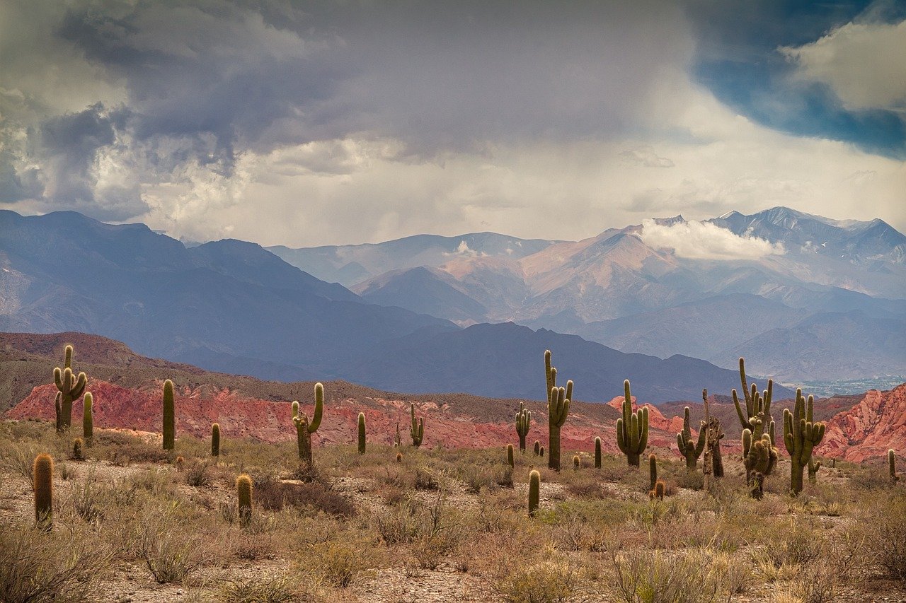 Argentina Jujuy desert landscape Andean canyon