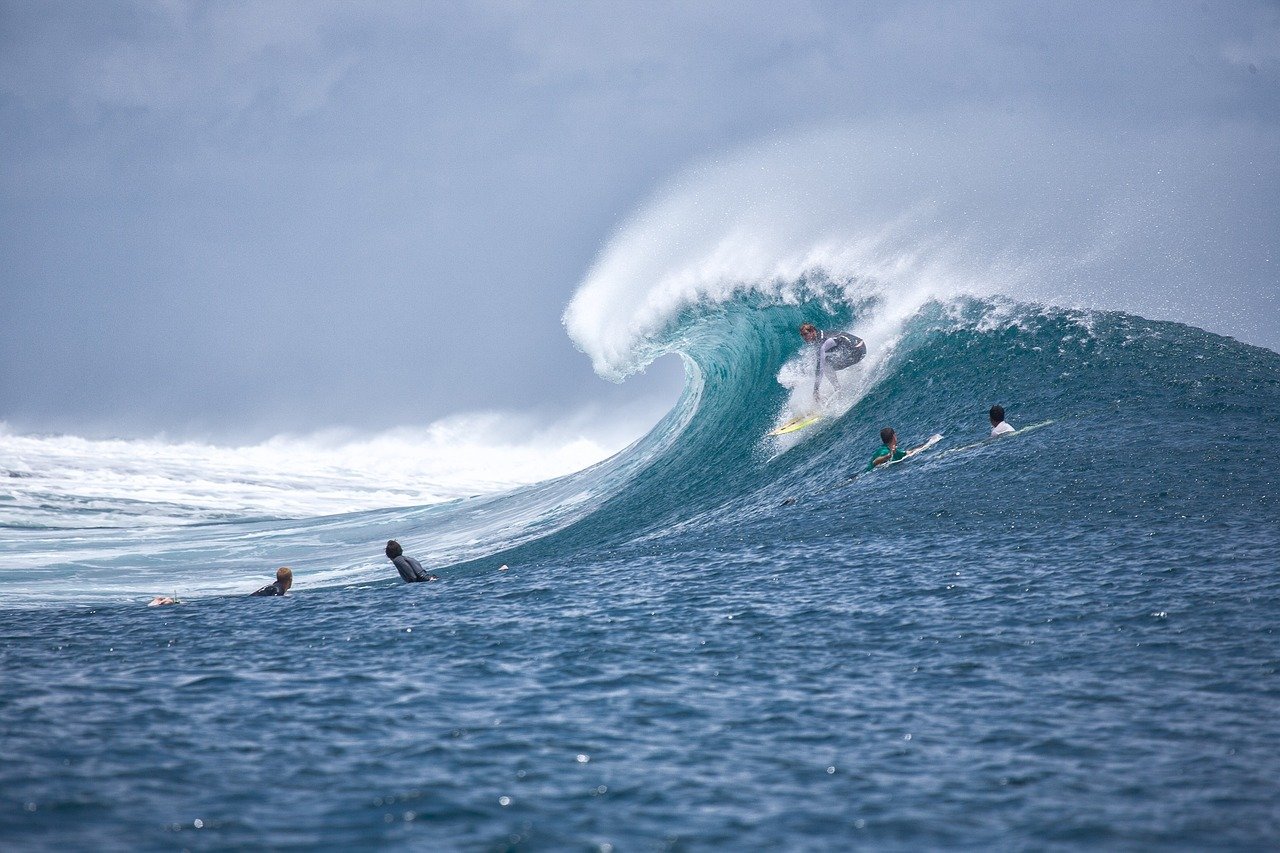 Australian beach lifeguard surfing waves Bondi