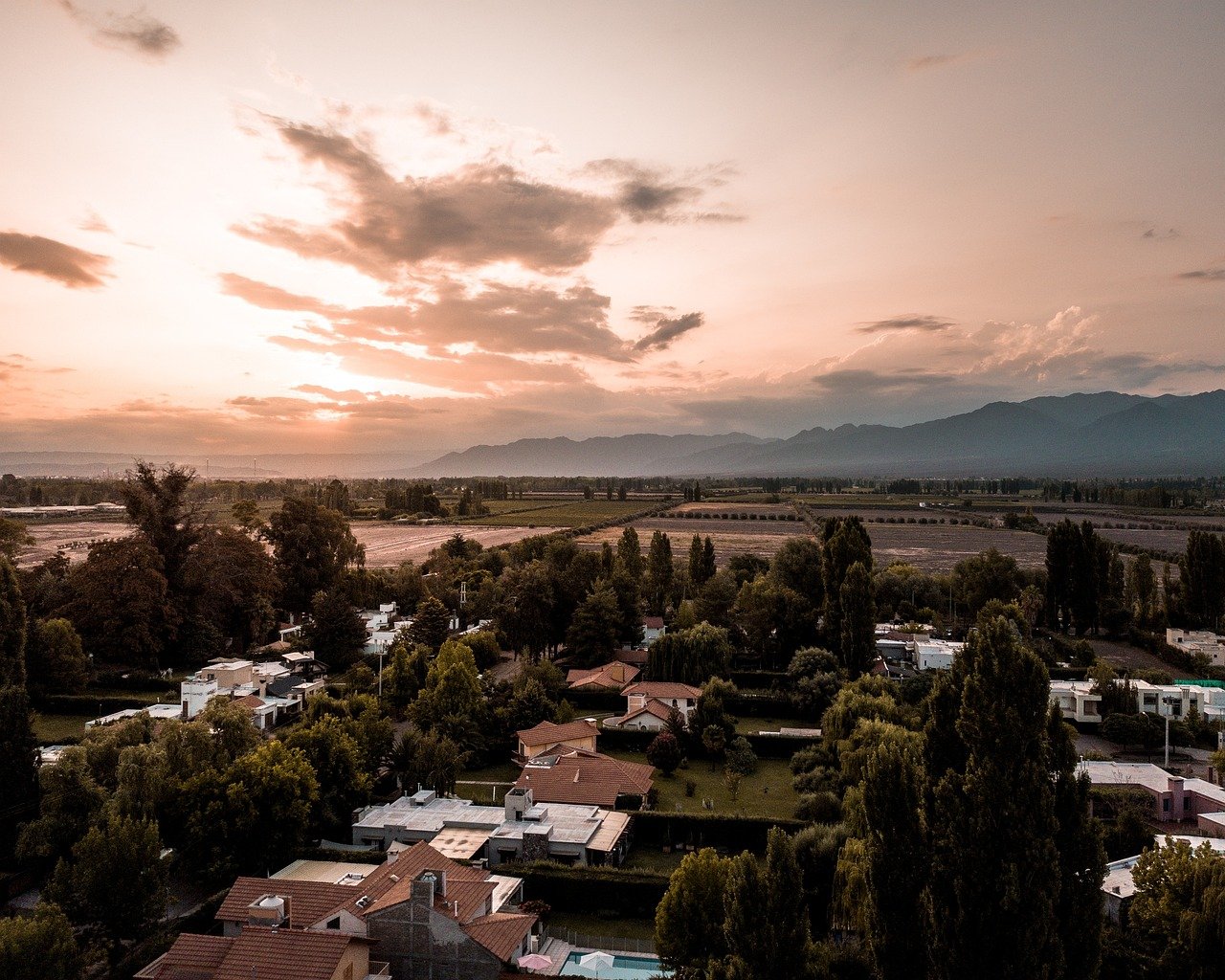 Mendoza Argentina vineyard landscape Andes mountains