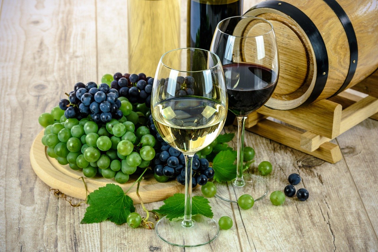 wine tasting glass vineyard Andes