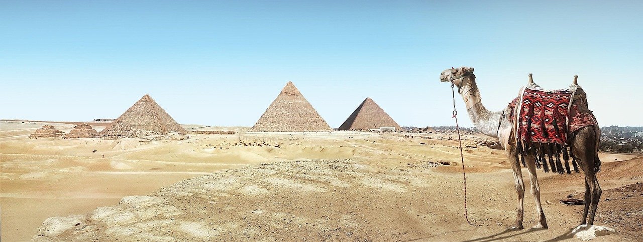 Camel resting beside a pyramid on the Giza plateau in Egypt