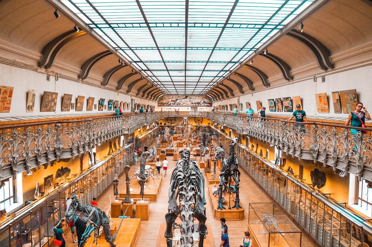 dinosaur fossils prehistoric Argentina Triassic paleontology