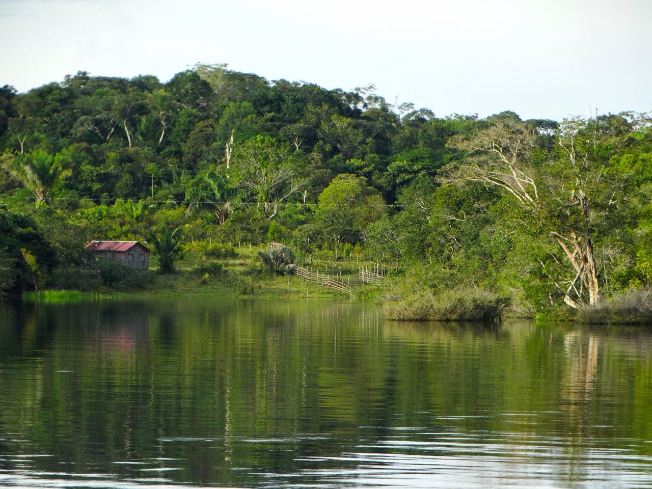 Amazon river landscape Barreirinha Brazil nature