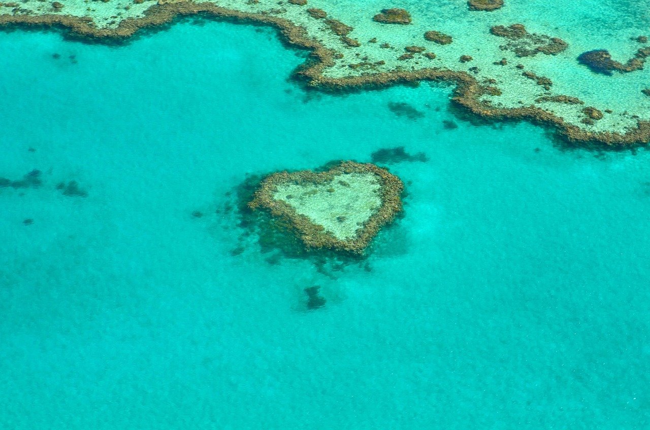 Heart Reef Great Barrier Reef aerial view heart shaped coral