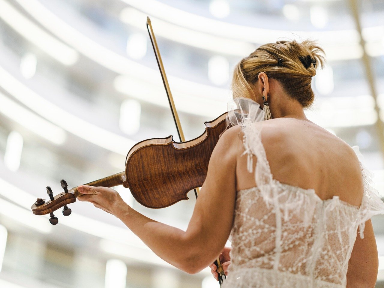 violinist musician classical concert performance art