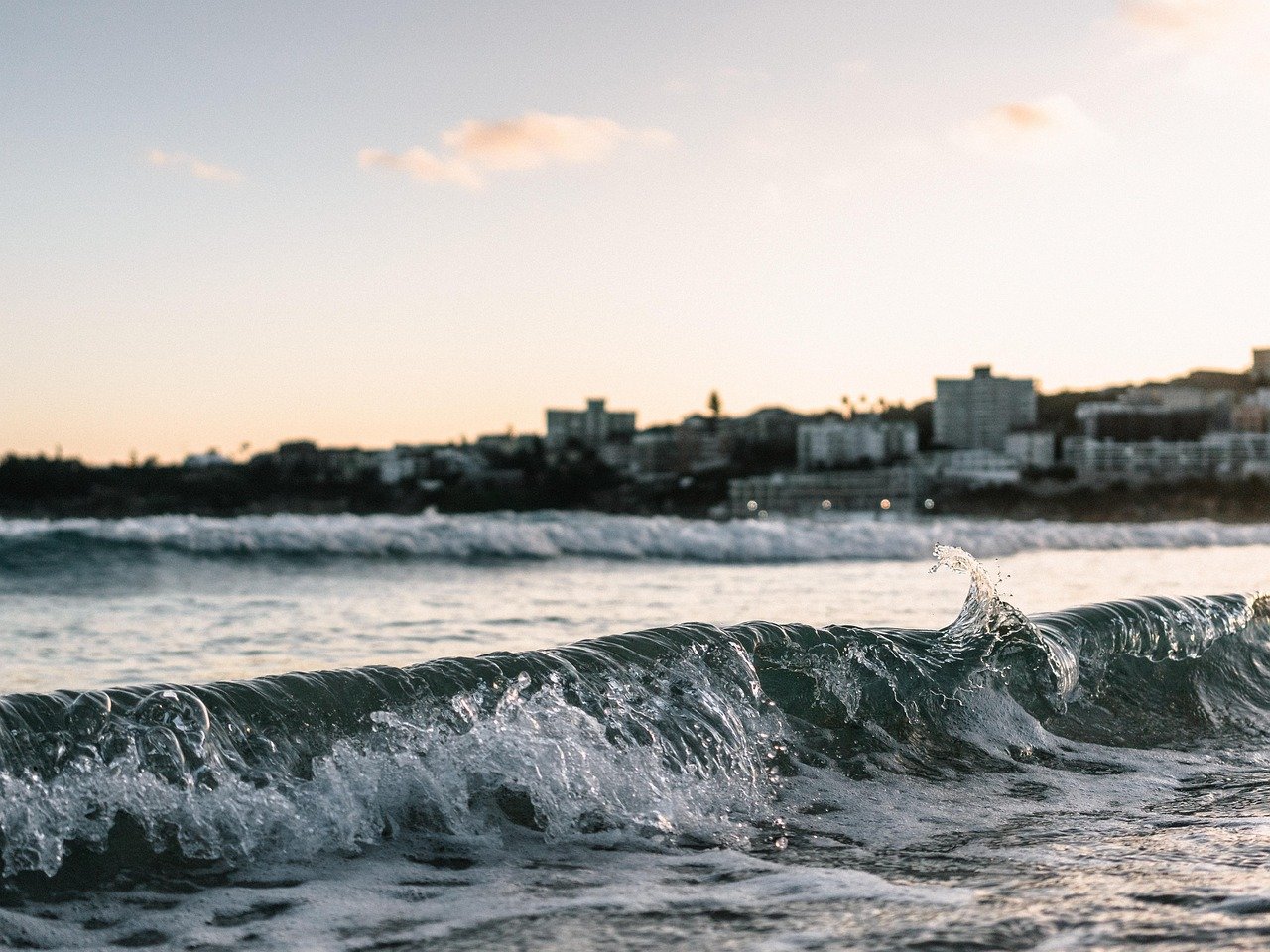 Bondi beach coastal walk clifftop ocean views