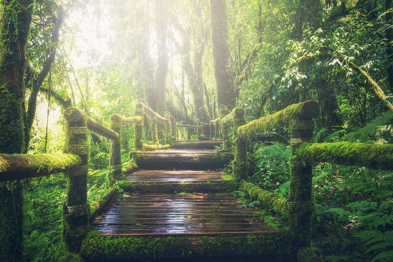 Elevated boardwalk over Iguazu River Argentina