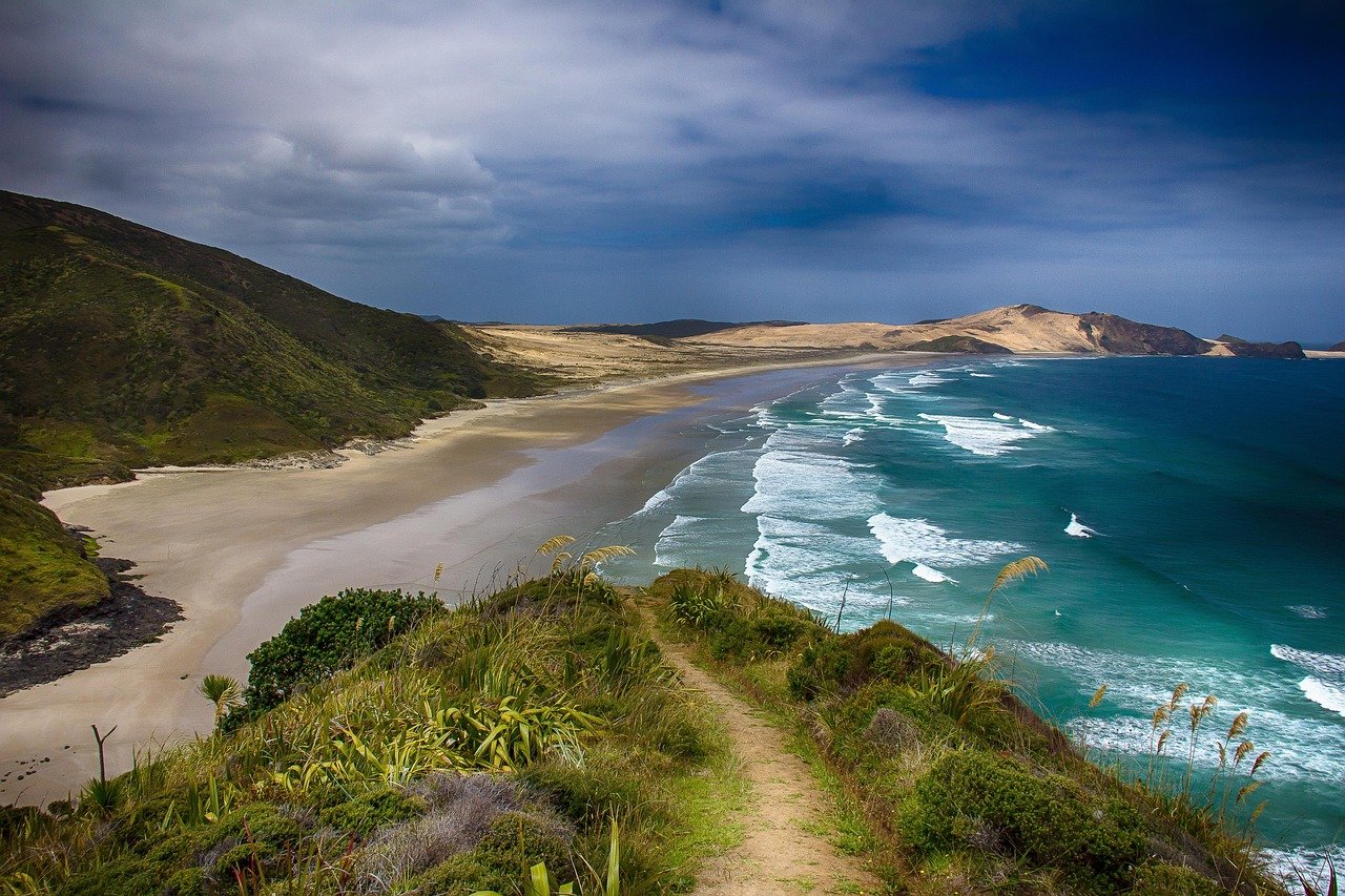 New Zealand coastline scenic bay ocean hills landscape