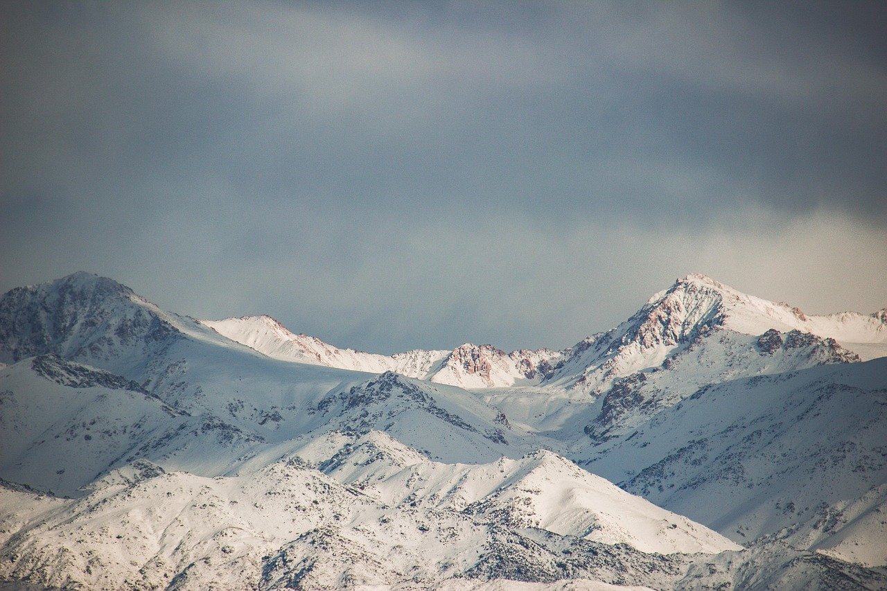 Andean mountain landscape with vineyard rows in Mendoza