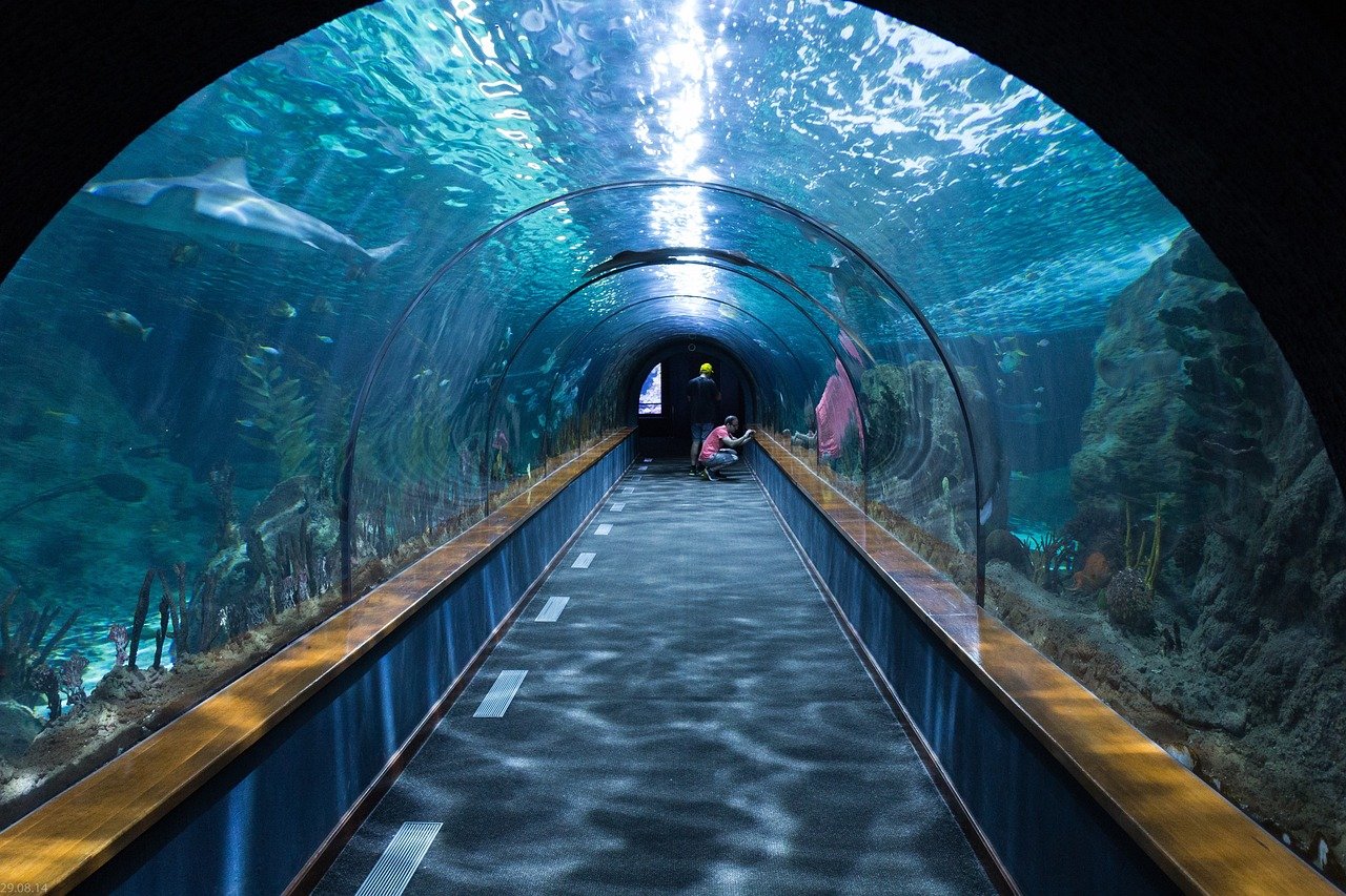 Underwater aquarium tunnel with sharks and stingrays swimming overhead