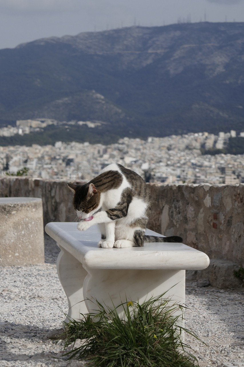 Acropolis Athens view city neighborhood